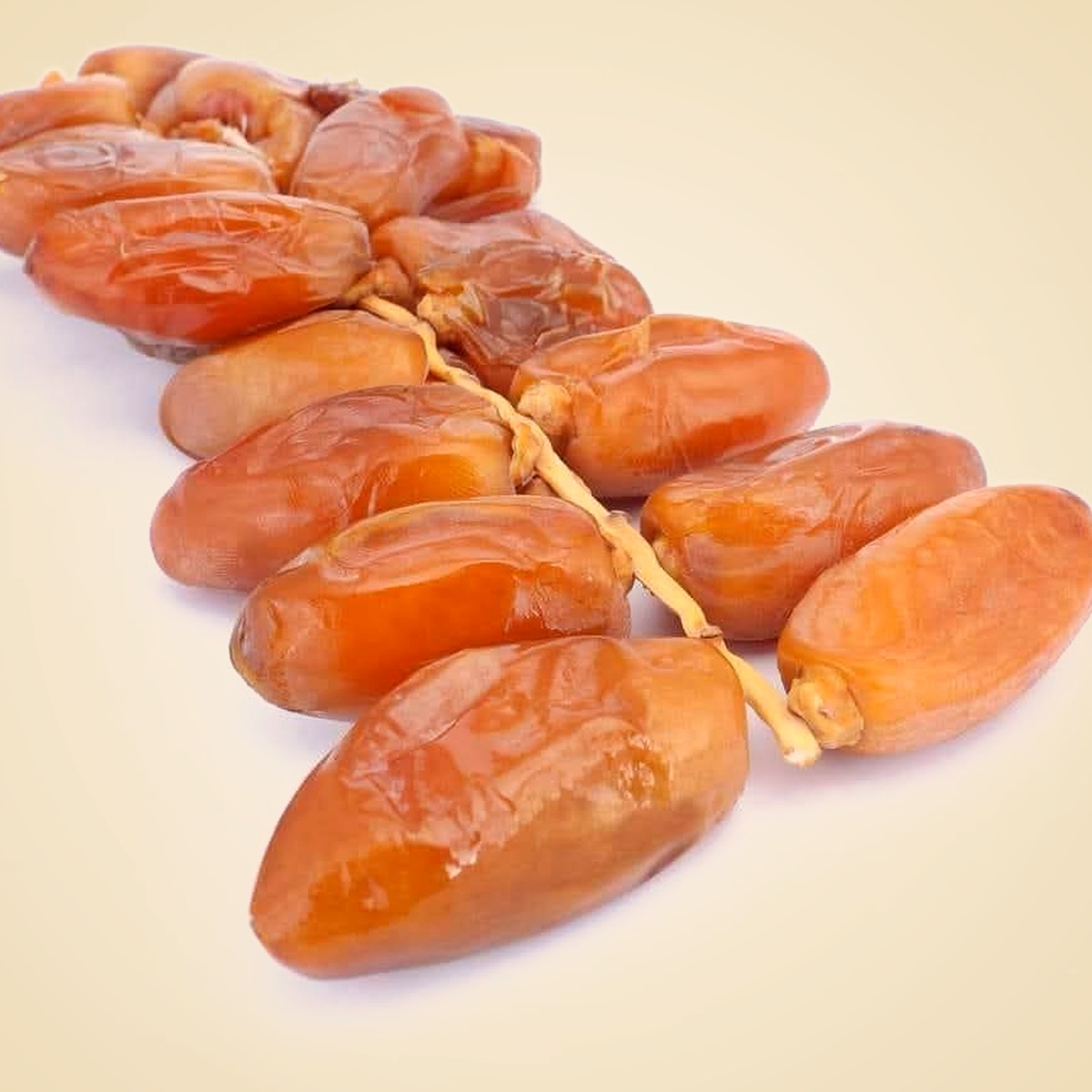 Dattes algériennes naturelles Oued Righ Palm